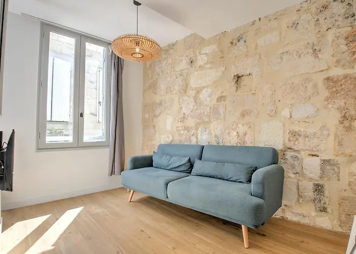 Hôtel accueillant les animaux: Apparts Limogeanne - Clim - Centre historique